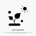 Biology, Plant, Science, Sun solid Glyph Icon vector