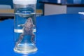 Biology science dissection specimen of a frog in a glass jar on a blue lab table in a school with copy space