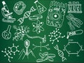 Biology sketches on school board
