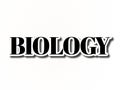 biology word text 3d illustration Royalty Free Stock Photo