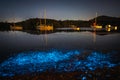 Bioluminescence glow in the bay nightscape with boats