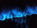 Bioluminescence In the Lakshadweep