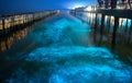 Bioluminescence in night blue sea water.Blue fluorescent wave of bioluminescent plankton about mangrove forest in Khok Kham ,Samut