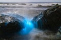 Bioluminescent tide glows on some rocks in La Jolla, California