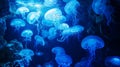 Bioluminescent Jellyfish Swarm Under Ice Cave . Royalty Free Stock Photo