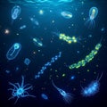 Bioluminescent marine plankton in ocean Royalty Free Stock Photo