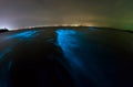 Bioluminescent plankton.