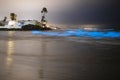 Bioluminescent tide glows next to beach homes and palm trees