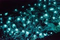 Bioluminiscent Glow Worms shining in Waipu Caves, Northland, North Island, New Zealand Royalty Free Stock Photo