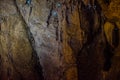 Bioluminiscent Glow Worms shining in Waipu Caves, Northland, North Island, New Zealand Royalty Free Stock Photo