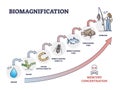 Biomagnification with toxic, poisonous mercury concentration outline diagram