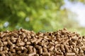 Biomass Royalty Free Stock Photo