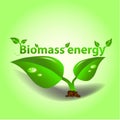 Biomass energy