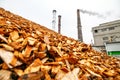 Biomass energy factory Royalty Free Stock Photo