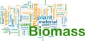 Biomass material background concept Royalty Free Stock Photo