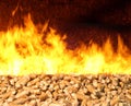 Biomass Pellet on Fire