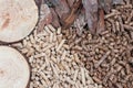 Biomass Royalty Free Stock Photo