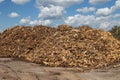 Wood chips for biomass combustion. green renewable energy