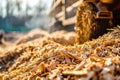biomass power plant burning wood chips or agricultural waste Royalty Free Stock Photo