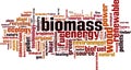 Biomass word cloud