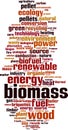 Biomass word cloud