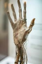 Biomechanical hand design with engine components, wires, coils, and tubes for advanced function