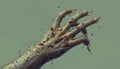 Biomechanical Hand Reaching Out: A Surreal Digital Art