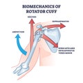 Biomechanics of rotator cuff with anatomical movement types outline diagram Royalty Free Stock Photo