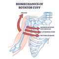 Biomechanics of rotator cuff and anatomical skeleton movement outline diagram Royalty Free Stock Photo