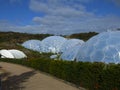 Biomes at Eden project 2