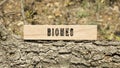 biomes Written on wooden surface. Frame on tree branch. Ecology and environment