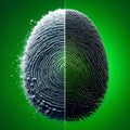 Biometric Fingerprint Dissolving into Digital Data Royalty Free Stock Photo