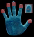 Biometric fingerprint scanner