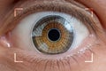 Biometrics, eye scanning and recognition concept.