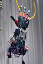 Bionic hand