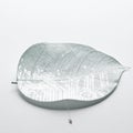 Bionic Leaf Merging Nature and Technology Royalty Free Stock Photo