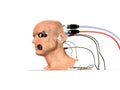 Bionic head with connections