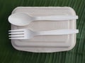 bioplastic spoon fork and disposable lunch box on banana leaf Royalty Free Stock Photo