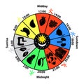 Daily Biorhythm of Internal Organs.