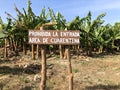 Biosecurity quarantine sign restricted zone within banana farms infected with Fusarium wilt Foc TR4