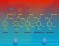 Biosynthesis of epinephrine Royalty Free Stock Photo