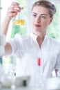 Biotechnologist analyzing liquid substance Royalty Free Stock Photo