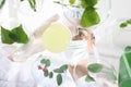 Biotechnology Royalty Free Stock Photo