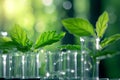 Biotechnology concept with green plant leaves, laboratory glassware, and conducting research Royalty Free Stock Photo