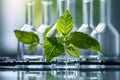 Biotechnology concept with green plant leaves, laboratory glassware, and conducting research Royalty Free Stock Photo