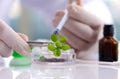 Biotechnology concept with scientist in lab Royalty Free Stock Photo