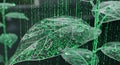 Biotechnology Digital Leaf with Binary Code and Water Droplets, Green Matrix Rain Royalty Free Stock Photo