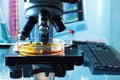 Biotechnology laboratory with a microscope analyzing a plate Royalty Free Stock Photo