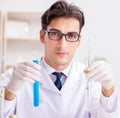 Biotechnology scientist chemist working in lab Royalty Free Stock Photo