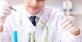 Biotechnology scientist chemist working in lab Royalty Free Stock Photo